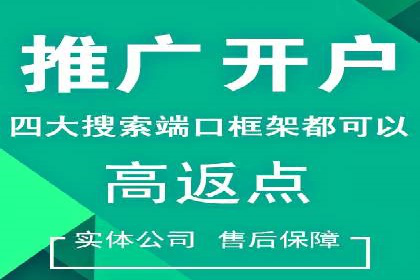 SEM投放策略：成功案例解析